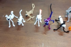 story-hour-pet